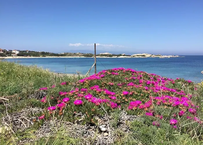 Holiday home Tower Capo Testa