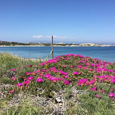 Casa vacanze Tower Capo Testa